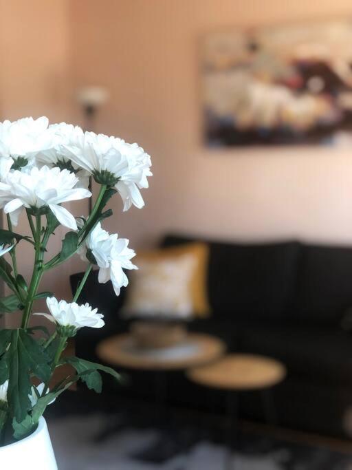 Quince Apartment-Free Parking-City Center Beograd Eksteriør bilde