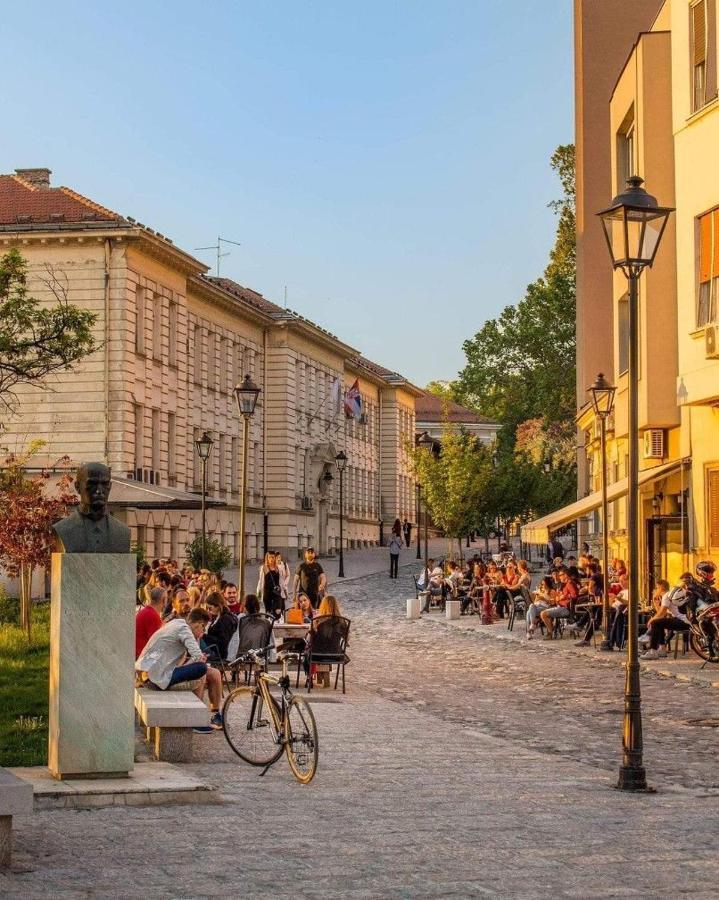 Quince Apartment-Free Parking-City Center Beograd Eksteriør bilde